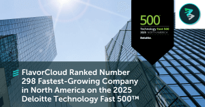 Deloitte Technology Fast 500 banner